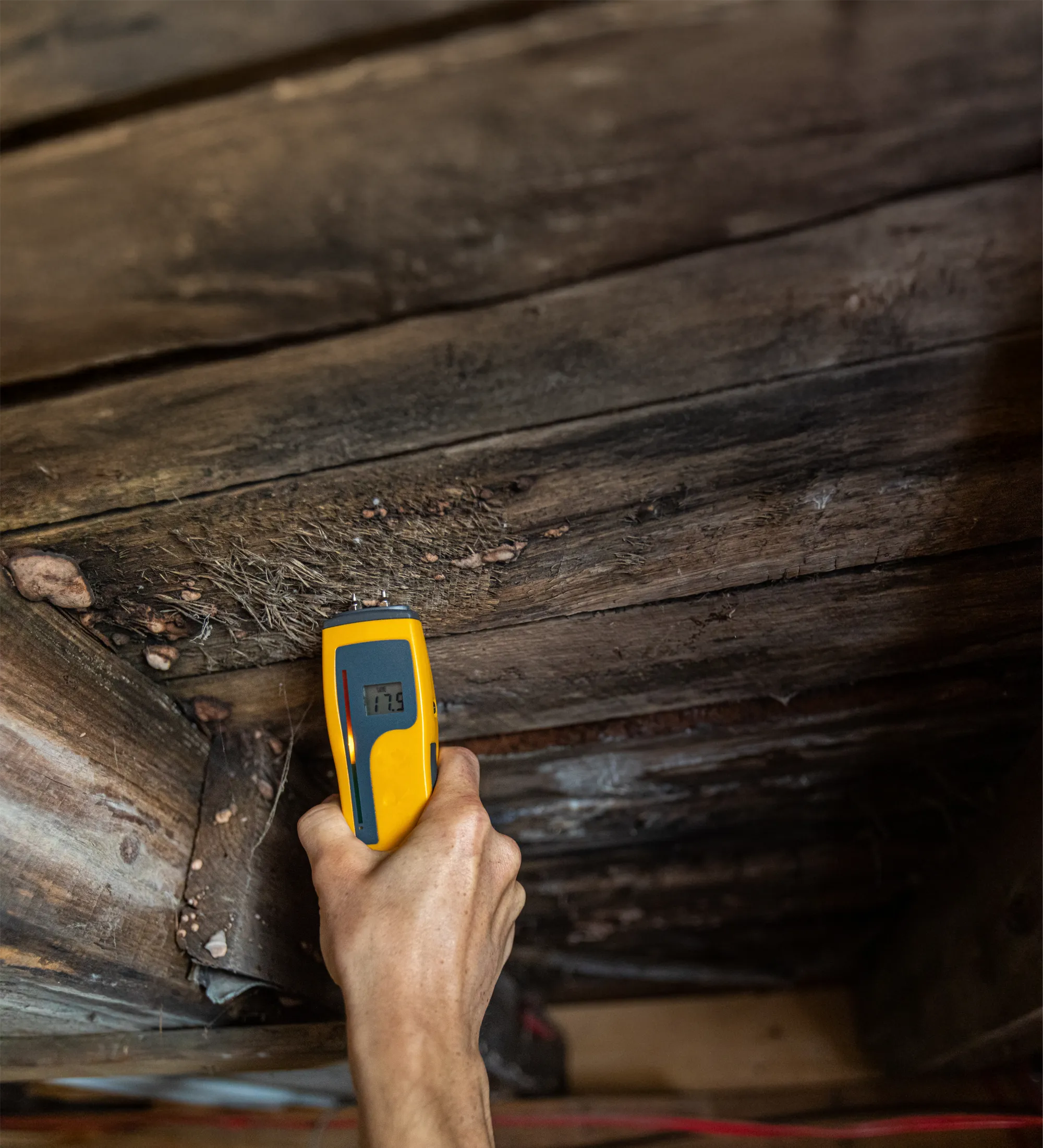 a damp inspector using a moisture meter