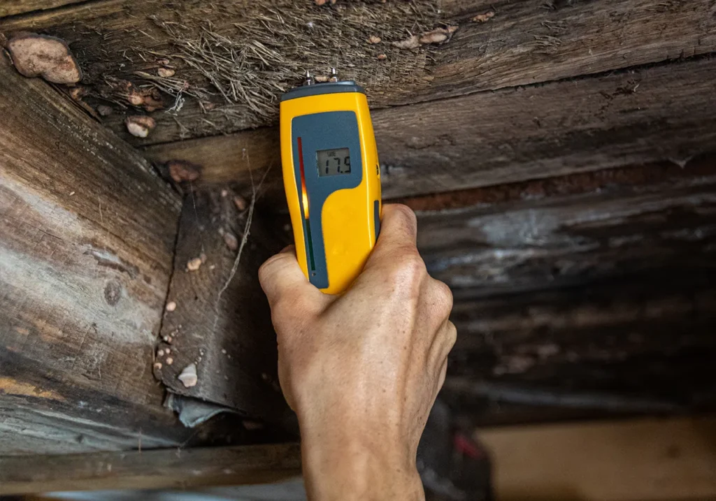 a damp inspector using a moisture meter